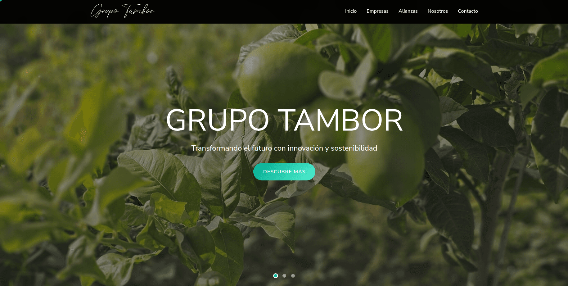 Captura de pantalla 1